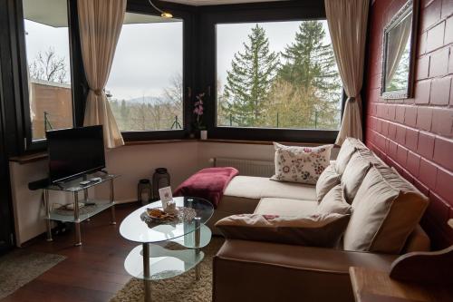 ein Wohnzimmer mit einem Sofa und einem TV in der Unterkunft FeWo Harzer Weitblick Hunde Willkommen, W Lan, 2x Smart TV in Braunlage