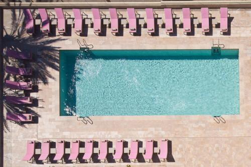 an overhead view of a swimming pool with pink flamingos at Pure Salt Garonda - Adults Only in Playa de Palma
