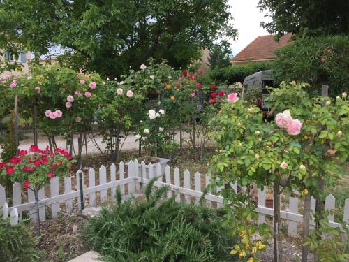 Gallery image of la ferme de tonton Jules 2 in Entraigues-sur-la-Sorgue