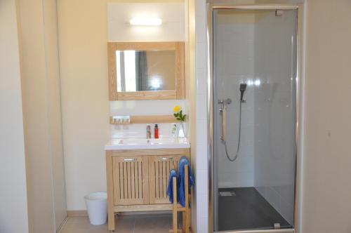 une salle de bain avec un lavabo et une douche dans l'établissement la ferme de tonton Jules 2, à Entraigues-sur-la-Sorgue
