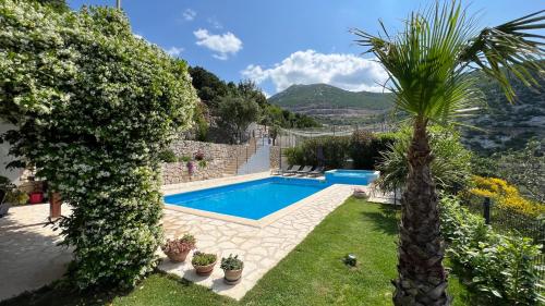 une villa avec une piscine et un palmier dans l'établissement Holiday House Vita, à Klis