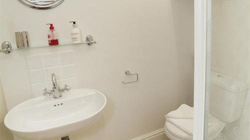 a white bathroom with a sink and a toilet at Llethryd Farm Cottage Two in Llanmorlais
