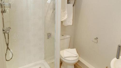 a white bathroom with a toilet and a shower at Llethryd Farm Cottage One in Llanmorlais