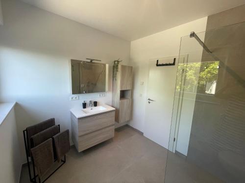 een badkamer met een wastafel en een glazen douche bij Casa 47 in Eupen