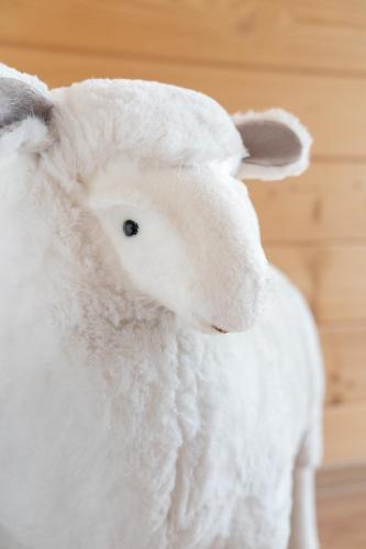 Animales en la habitación en casa particular o alrededores