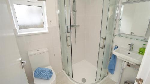 a bathroom with a shower and a toilet and a sink at Rhossili Reach in Rhossili