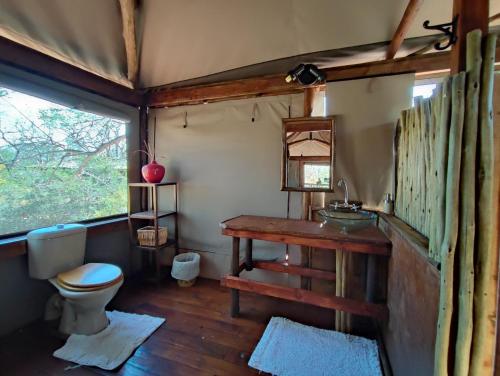 a bathroom with a toilet and a sink and a window at Iphofolo Lodge & Tented Camp in Vivo