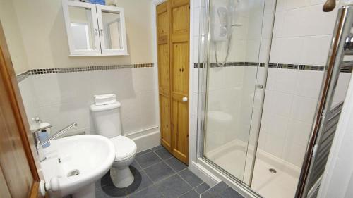 a bathroom with a toilet sink and a shower at Oyster Cottage in The Mumbles