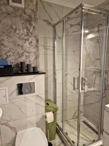 y baño con ducha y aseo. en Cazare Andreea, en Cluj-Napoca