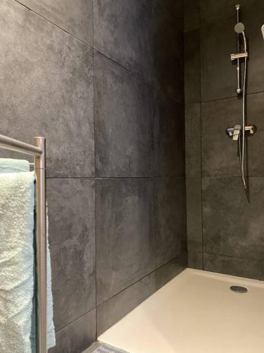 une salle de bain avec une douche avec une porte vitrée dans l'établissement LE DOUX MELEZE, à Saint-Chaffrey