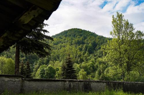 a view of a mountain with a wall and trees at Planinarski dom ''Bijele stijene'' Mountain lodge in Tuk Vojni