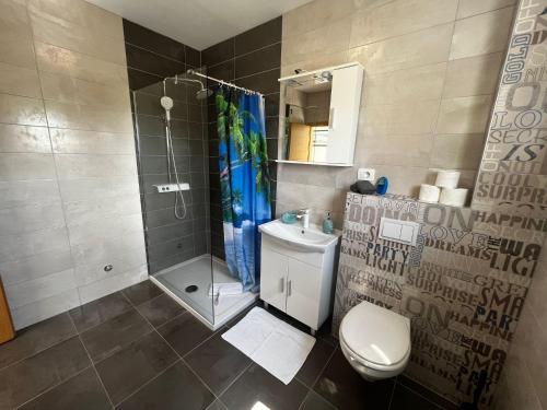 a bathroom with a shower and a toilet and a sink at Apartments PETRUSIC in Rab