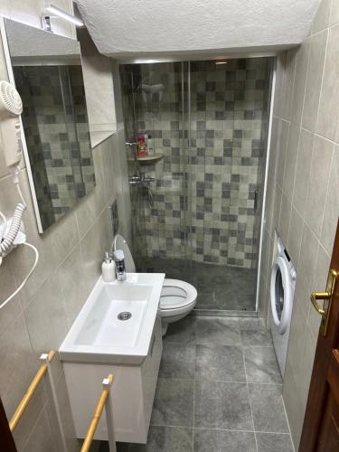 a bathroom with a toilet and a sink and a shower at Apartments Franovic in Perast