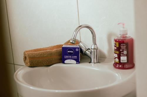 瑟拿的住宿－Pousada no Sana Donna Leda，浴室水槽配有肥皂和肥皂分配器