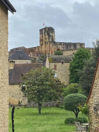 a castle in the middle of a city with a tree at Magnifique maison avec vue panoramique in Carlux