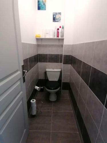 a bathroom with a toilet and brown tiles at Magnifique maison avec vue panoramique in Carlux