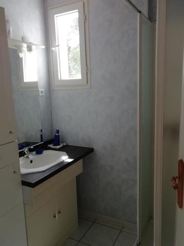 een badkamer met een wastafel en een spiegel bij Janyjack in Arsac