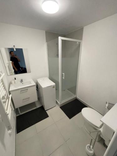une salle de bain avec toilettes, lavabo et douche dans l'établissement Studio neuf, à Marseille