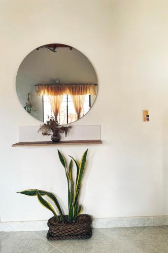 a mirror on a white wall with a plant at Apartamento de Descanso - Doradal in Doradal