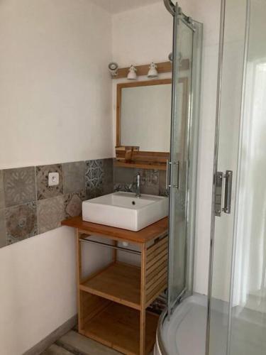 une salle de bain avec un lavabo et une douche dans l'établissement Appart Vue Mer Canet plage, à Canet