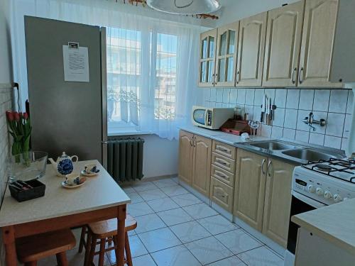 a kitchen with a sink and a stove top oven at Apartament Mazury in Olecko