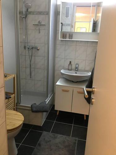 a bathroom with a sink and a shower and a toilet at Gemütliches Apartment mit wundervollem Weitblick in Löffingen