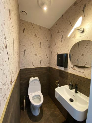 a bathroom with a toilet and a sink at Skangaļu muiža in Skangaļi