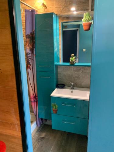 a blue bathroom with a sink and a mirror at Dépendance dans le jardin in Franqueville-Saint-Pierre