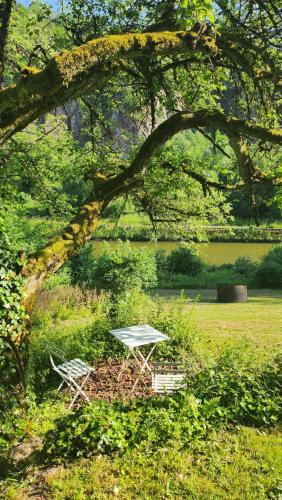 apartment, gite by the canal l Est,river Coney vosges france