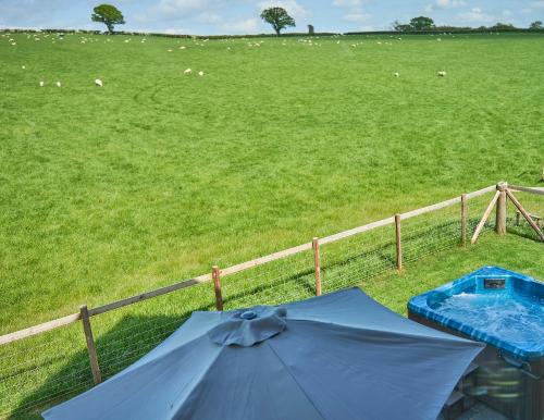 a blue umbrella in front of a field with sheep at Holly Lodge in Welshpool
