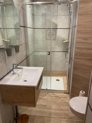 a bathroom with a shower and a sink and a toilet at Chambres d’hôtes plateau des mille étangs in Belonchamp