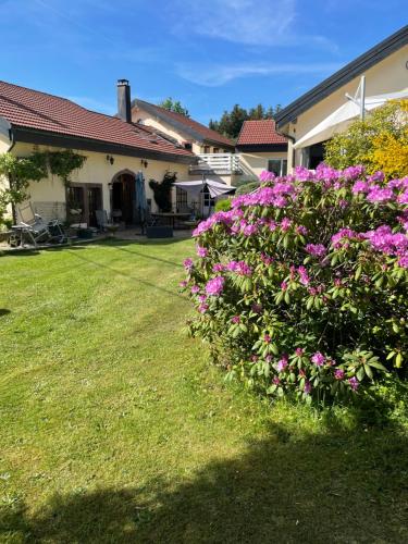 Chambres d’hôtes plateau des mille étangs