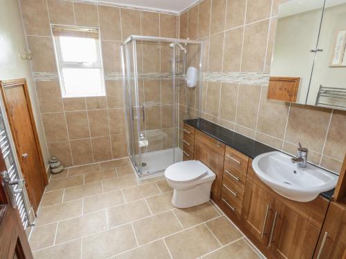 a bathroom with a toilet and a sink and a shower at Ballaghboy Cottage in Boyle