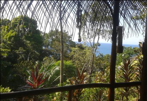 a view of the ocean from the inside of a forest at Vista Alta Ecolodge Bahia Drake in Drake