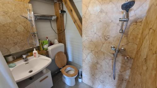 a bathroom with a shower and a toilet and a sink at Geräumiger Wohnwagen unter Bäumen neben Mur-Stausee in Feldkirchen bei Graz