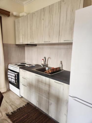 a kitchen with a sink and a white refrigerator at Cozy apartment in Nea Kios in Néa Kíos