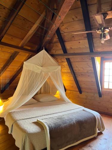 a bedroom with a bed with a mosquito net at Habitation La Reine du Camp Chambres d'Hôtes in Saint-Claude