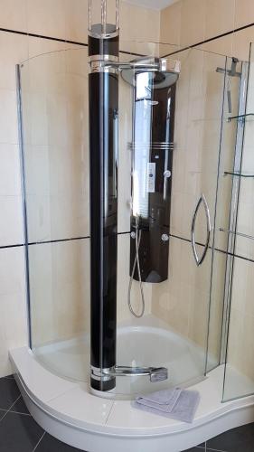 a shower with a glass door in a bathroom at ALACARD Ferienwohnungen Höffgen Thale Harz in Thale