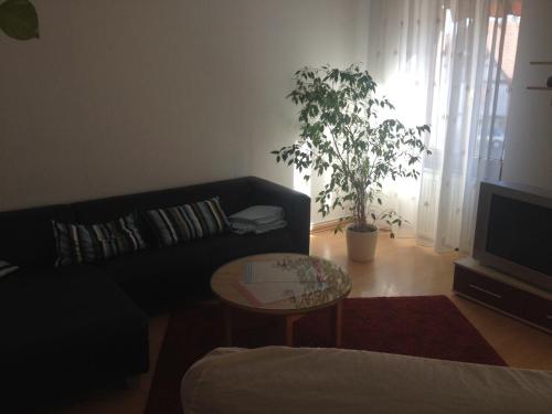 Location Chez Helmut – Photos 4