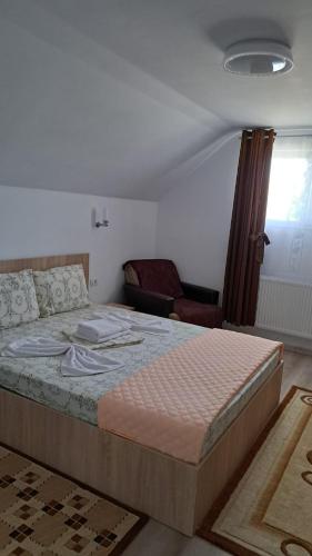 een slaapkamer met een groot bed in een kamer bij Casa Gabi in Corbu
