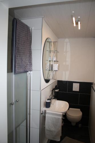 uma casa de banho com um lavatório, um WC e um chuveiro em Ferienwohnung zur Trübenbach em Kirn