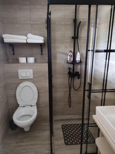 a small bathroom with a toilet and a sink at Apartmani SLADJANA in Novi Sad