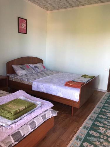 a bedroom with two beds and a rug at AltynAi Guest House in Cholpon-Ata