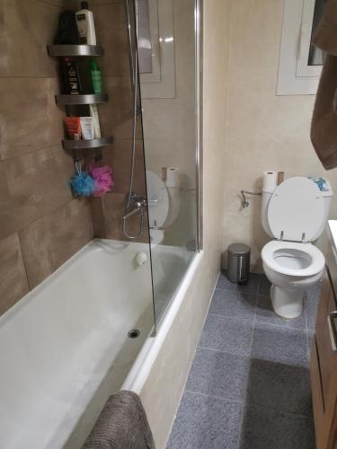 a bathroom with a shower and a toilet and a sink at ARIN alojamientos in Lleida