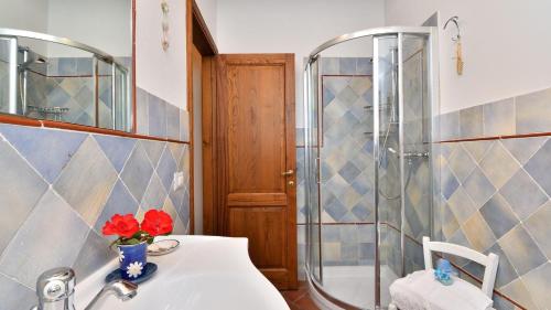 bagno con lavandino e doccia di Villa Girasole a Gaiole in Chianti