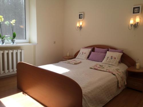 una camera da letto con un letto con cuscini viola e una finestra di Apartments Isle of Pinecones a Nida