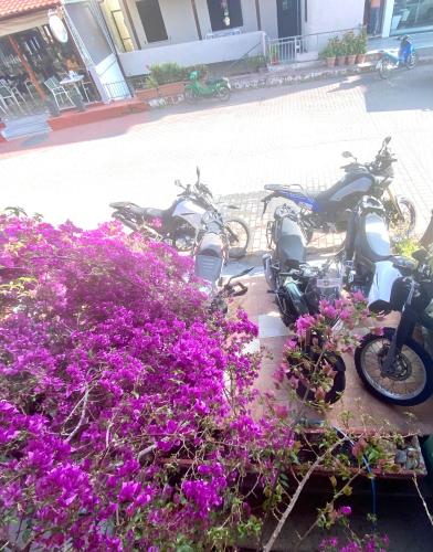 a group of motorcycles parked next to purple flowers at Costas Inn in Spílion