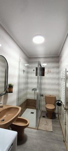 a bathroom with a shower and a toilet and a sink at POSADA de BUSTIELLO,poblado minero de interés cultural in Mieres