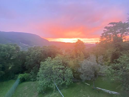 an aerial view of a sunset over a forest of trees at B&B Rox e Claudia in Lugnola