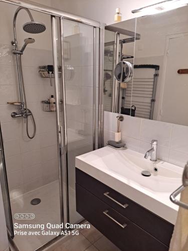 ein Bad mit einer Dusche, einem Waschbecken und einem Spiegel in der Unterkunft Super appartement vue Sanguinaires in Ajaccio